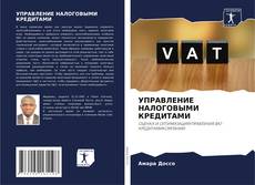 УПРАВЛЕНИЕ НАЛОГОВЫМИ КРЕДИТАМИ的封面