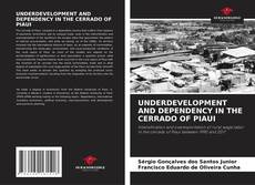 UNDERDEVELOPMENT AND DEPENDENCY IN THE CERRADO OF PIAUI的封面