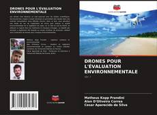 DRONES POUR L'ÉVALUATION ENVIRONNEMENTALE kitap kapağı