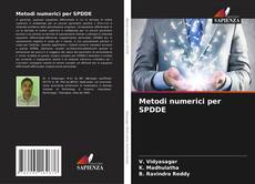 Buchcover von Metodi numerici per SPDDE