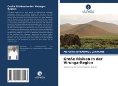 Buchcover von Große Risiken in der Virunga-Region