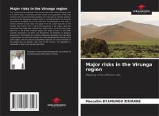 Major risks in the Virunga region的封面