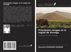 Portada del libro de Principales riesgos en la región de Virunga