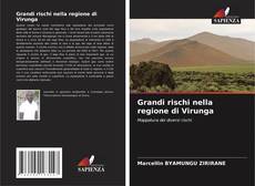 Обложка Grandi rischi nella regione di Virunga