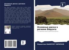 Borítókép a  Основные риски в регионе Вирунга - hoz
