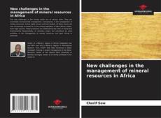 New challenges in the management of mineral resources in Africa的封面