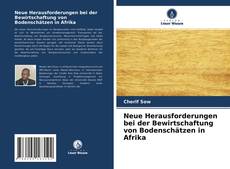 Buchcover von Neue Herausforderungen bei der Bewirtschaftung von Bodenschätzen in Afrika