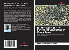 Identification of New Functional Centralities in Urban Space的封面