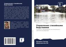 Copertina di Управление стихийными бедствиями