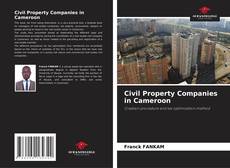 Civil Property Companies in Cameroon的封面