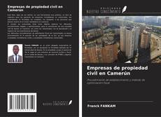 Обложка Empresas de propiedad civil en Camerún