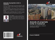 Portada del libro de Aziende di proprietà civile in Camerun