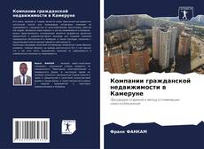 Компании гражданской недвижимости в Камеруне的封面