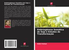 Embriogênese Somática de Soja e Estudos de Transformação kitap kapağı