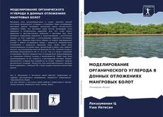 Borítókép a  МОДЕЛИРОВАНИЕ ОРГАНИЧЕСКОГО УГЛЕРОДА В ДОННЫХ ОТЛОЖЕНИЯХ МАНГРОВЫХ БОЛОТ - hoz
