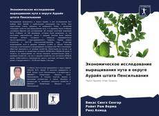 Capa do livro de Экономическое исследование выращивания нута в округе Аурайя штата Пенсильвания 