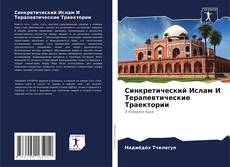 Capa do livro de Синкретический Ислам И Терапевтические Траектории 