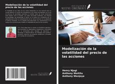 Capa do livro de Modelización de la volatilidad del precio de las acciones 