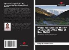 Water resources in the Dir (Piedmont) of the Atlas of Beni Mellal的封面