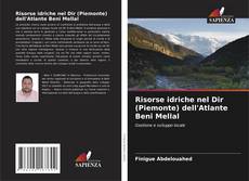 Bookcover of Risorse idriche nel Dir (Piemonte) dell'Atlante Beni Mellal
