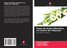 Papel do Ácido Giberélico no Cultivo de Tuberose的封面