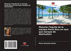 Mesurer l'équité de la marque Porto Rico en tant que marque de destination kitap kapağı