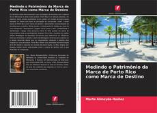 Medindo o Patrimônio da Marca de Porto Rico como Marca de Destino kitap kapağı