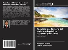 Reciclaje del fósforo del suelo en depósitos lacustres y marinos kitap kapağı