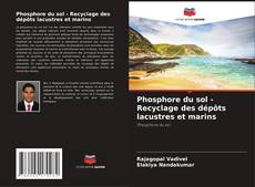 Couverture de Phosphore du sol - Recyclage des dépôts lacustres et marins
