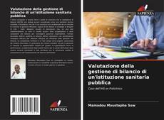 Valutazione della gestione di bilancio di un'istituzione sanitaria pubblica的封面