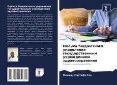 Оценка бюджетного управления государственным учреждением здравоохранения kitap kapağı