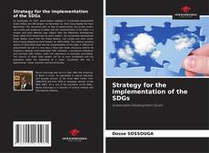 Strategy for the implementation of the SDGs的封面