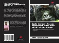 Socio-Economic Impact Assessment of the Kibali Project in Eastern DRC的封面