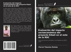Buchcover von Evaluación del impacto socioeconómico del proyecto Kibali en el este de la RDC