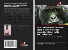 Capa do livro de Valutazione dell'impatto socio-economico del progetto Kibali nella RDC orientale 