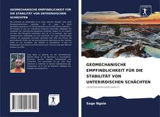 Copertina di GEOMECHANISCHE EMPFINDLICHKEIT FÜR DIE STABILITÄT VON UNTERIRDISCHEN SCHÄCHTEN