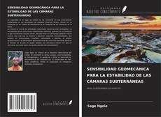 Copertina di SENSIBILIDAD GEOMECÁNICA PARA LA ESTABILIDAD DE LAS CÁMARAS SUBTERRÁNEAS