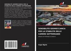 Capa do livro de SENSIBILITÀ GEOMECCANICA PER LA STABILITÀ DELLE CAMERE SOTTERRANEE 