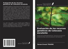 Copertina di Evaluación de los recursos genéticos de Colocasia esculenta