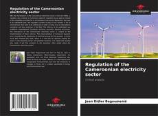 Bookcover of Regulation of the Cameroonian electricity sector