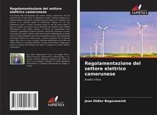 Bookcover of Regolamentazione del settore elettrico camerunese