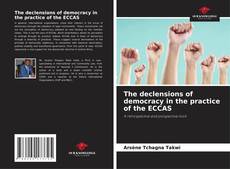 The declensions of democracy in the practice of the ECCAS的封面