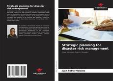 Strategic planning for disaster risk management的封面