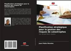 Copertina di Planification stratégique pour la gestion des risques de catastrophes