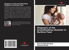 Diagnosis of the breastfeeding situation in Burkina Faso的封面