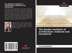 The double mutation of architecture: material and immaterial的封面