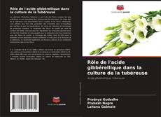 Copertina di Rôle de l'acide gibbérellique dans la culture de la tubéreuse