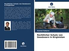 Rechtlicher Schutz von Gewässern in Kirgisistan kitap kapağı