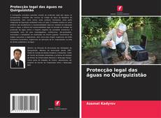 Buchcover von Protecção legal das águas no Quirguizistão
