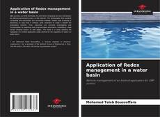 Application of Redox management in a water basin的封面